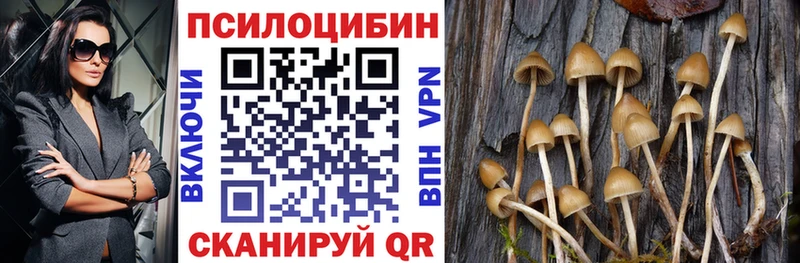 Псилоцибиновые грибы MAGIC MUSHROOMS  Купить закладки  Динская 